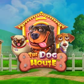 The Dog House